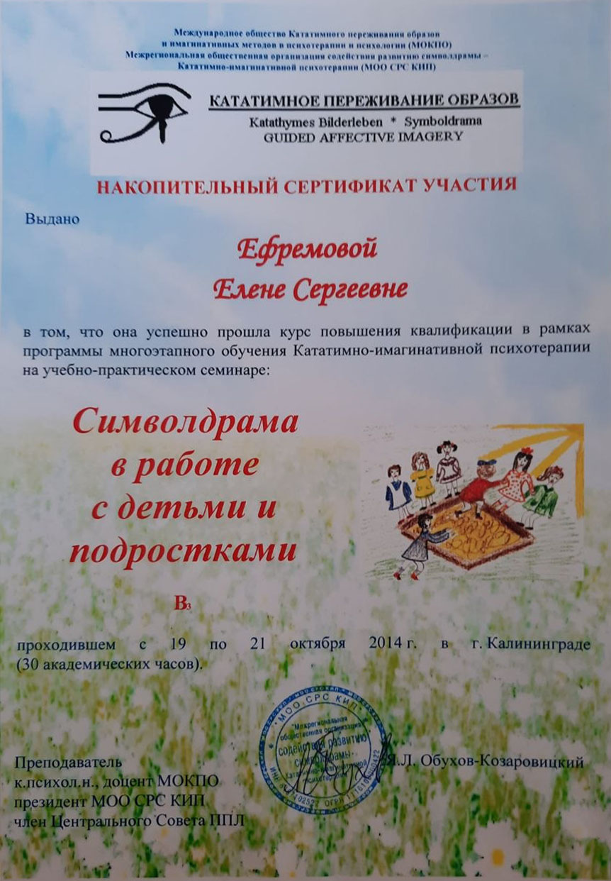 Сертификат 13